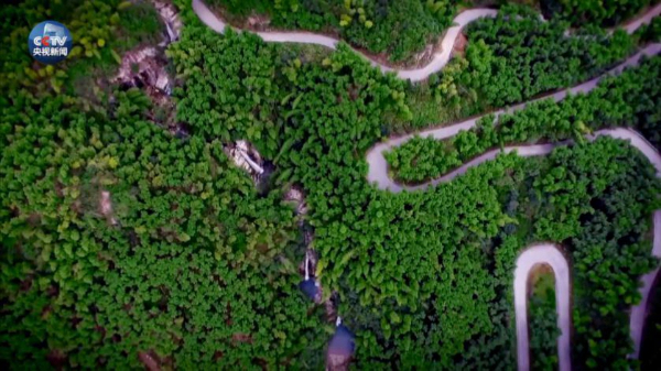 然而,鲜为人知的是,安吉,也曾经遭遇环境恶化的困扰。 上世纪90年代,安吉余村矿山开采泛滥、粉尘遮天蔽日。在1998年国务院开展的聚焦太湖零点达标行动中,安吉被列入黄牌警告名单。 2005年8月15日,时任浙江省委书记的习近平在考察安吉余村时说:一定不要说再想着走老路,迷恋过去的那种发展模式,绿水青山就是金山银山,我们过去讲,既要绿水青山、又要金山银山,实际上绿水青山就是金山银山。 从2006年起,安吉相继注销矿山79座,1200余家有污染的竹制品企业在最近五年陆续被关停。
