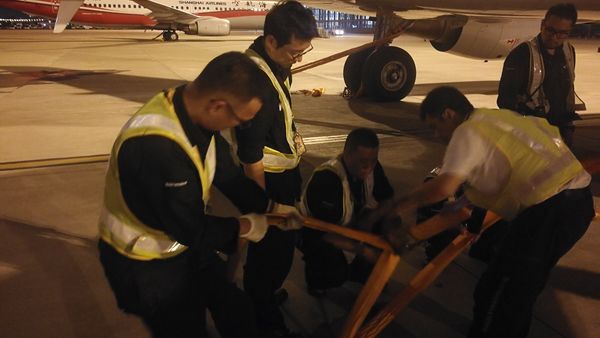 国航取消明天上海两大机场14点前出港航班 春秋取消12个浦东进出港航班