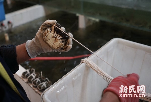秋风起,蟹脚痒,正是吃大闸蟹的好时节