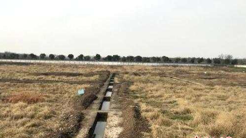 江苏沭阳2020桑墟镇g_沭阳学区房划分2020(2)