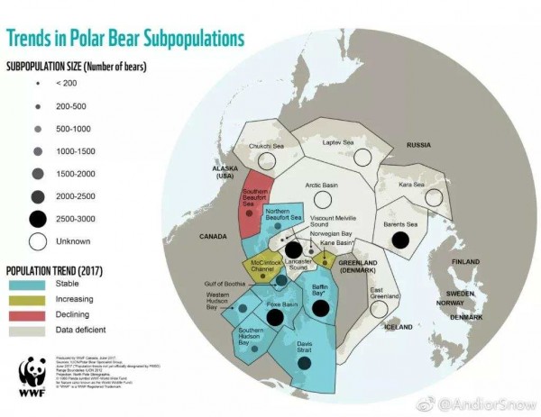 正文     目前,北极熊分布在超过2100万平方千米的土地上,现存数量