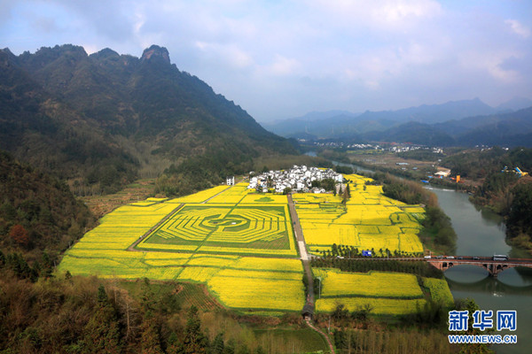 安徽齐云山：油菜花海凸现“太极八卦图”