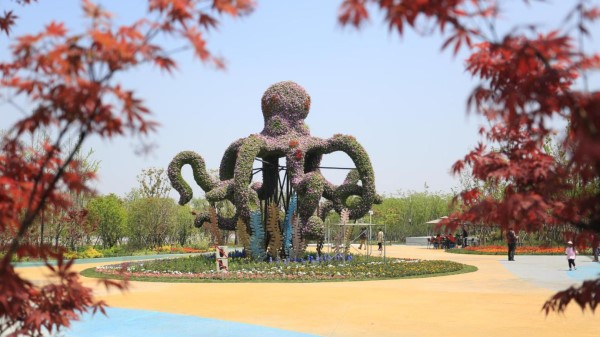 视频 | 逛浦江郊野公园寻“神奇动物”