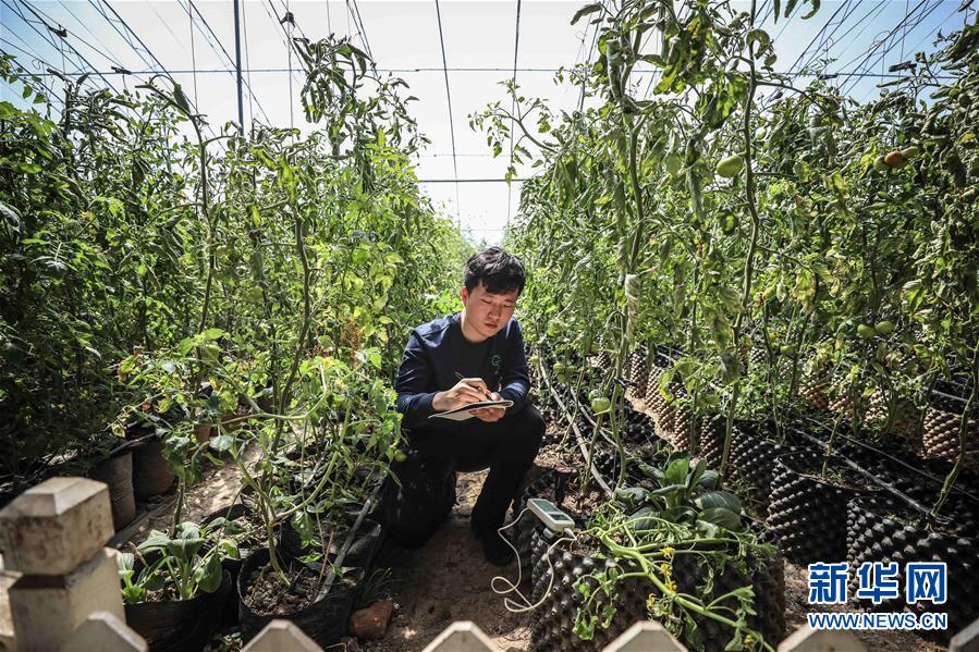 青春万岁 强国有我--献给五四运动100周年