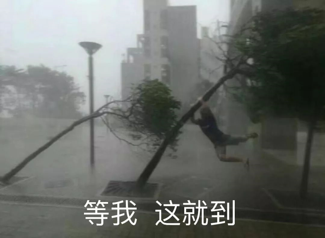 台风"艾云尼"来袭！|海南|台风|暴雨_新浪新闻