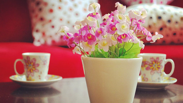 晨读 | 今夜不睡马路边