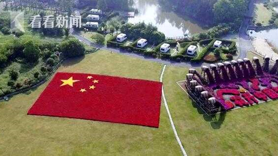 视频｜深情告白伟大祖国 崇明东平森林公园千人快闪