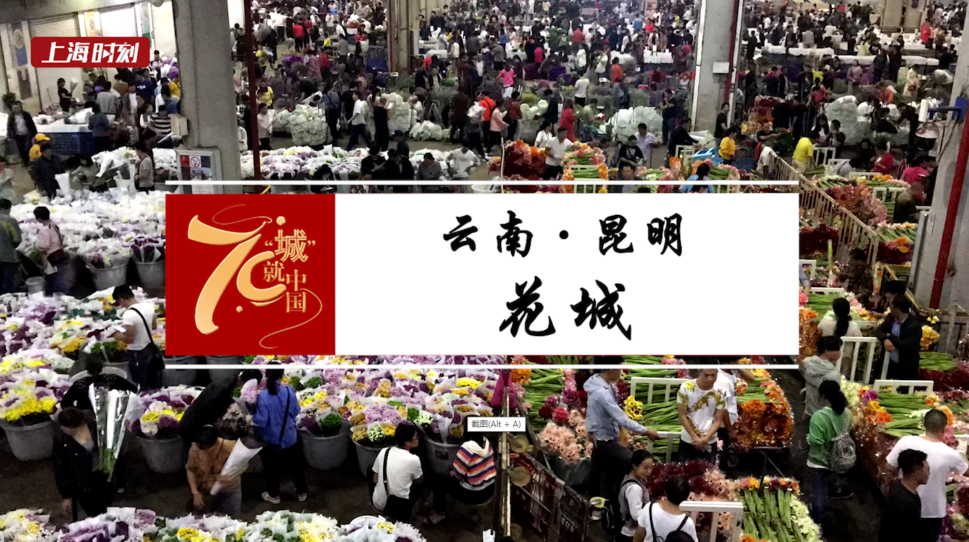 城”就中国⑨ | “新昆明人”为了一份“甜蜜事业”而奋斗 每天卖出一集装箱鲜切花 | 可爱的中国奋进的上海