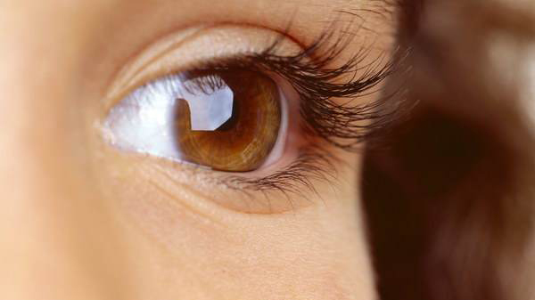 晨读 | 眼睛的后面是大脑