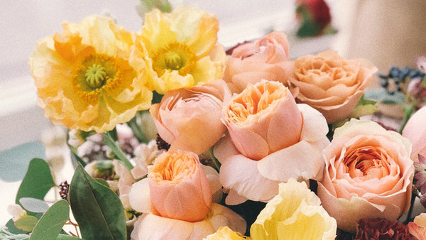 晨读 | 露台花展迎国庆