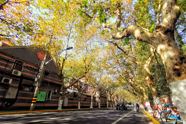 ��ͼ����Ƭ��Ϯ��������Ҷ���������롰����ҳ���·���