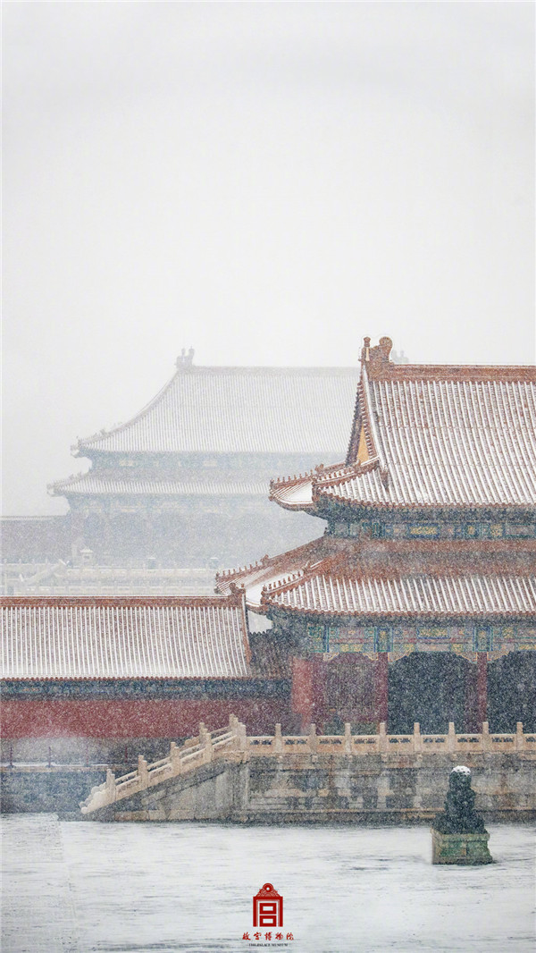 故宫雪景图上新了 宫里那只“摸脑壳”狮子冒雪走红……_新民社会_新民网