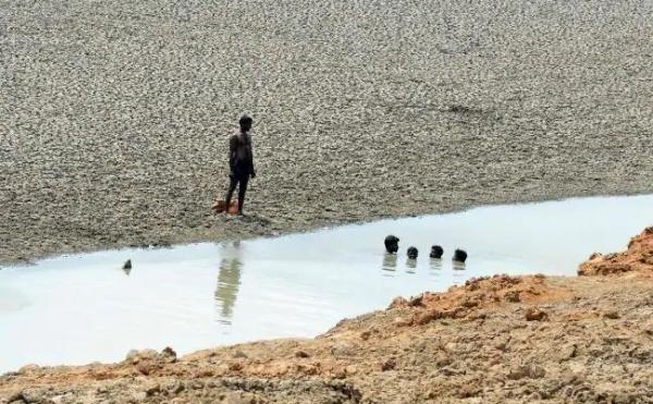 水~水~水！印度全国闹水荒，贫富社区待遇差别残酷，这是在昭示国家未来？