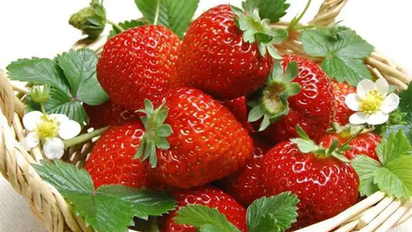 认捐一份爱心草莓，送给1649个援鄂医护人员家庭