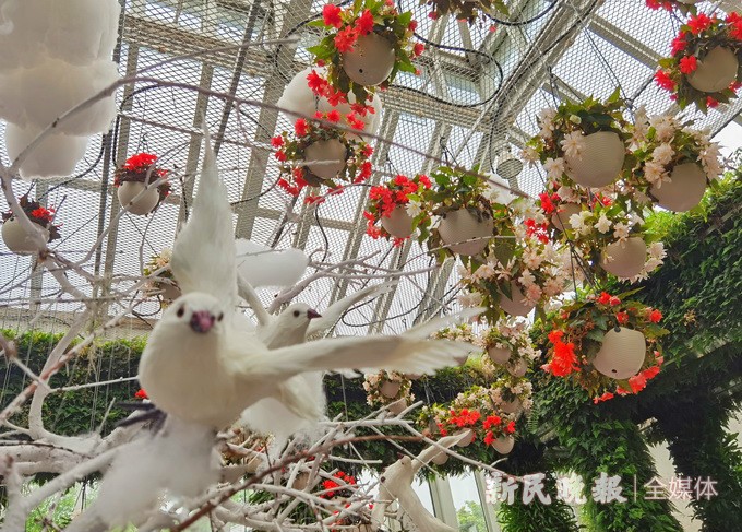 上海植物园海棠花展开幕