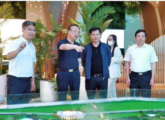 张近东"长三角布局"滁洲站:输出生态能力助推产业升级