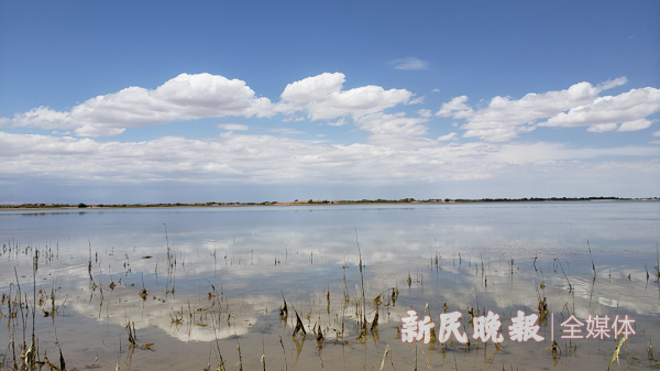 莎车县叶尔羌国家湿地公园：沙漠、湿地、水库三大景观相融合