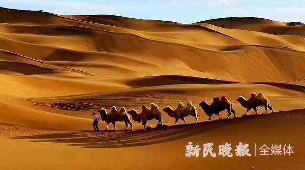 莎车县：永远带给你惊叹的喀尔苏沙漠景区