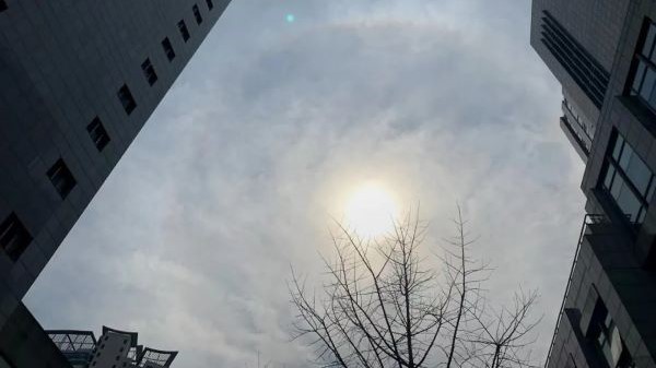 冷空气影响!大风蓝色预警刚刚发布 冷空气影响!大风蓝色预警刚刚发布