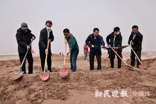 戈壁滩上的植树节——上海援疆叶城分指临时党支部主题党日活动