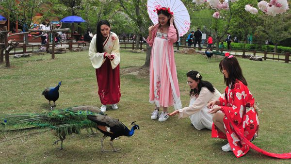 视频 | 申城假日好去处 东方鸟世界成新晋“打卡地”