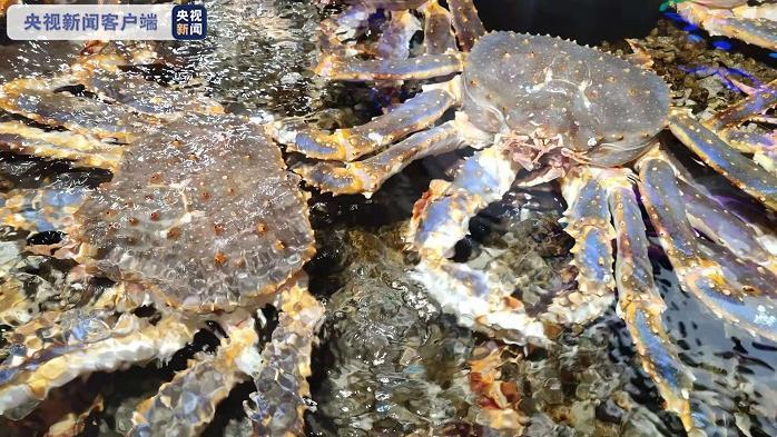 金鱼童海鲜