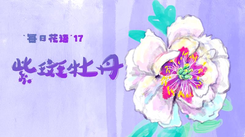 手绘花博会 | 每日花语（17）：紫斑牡丹