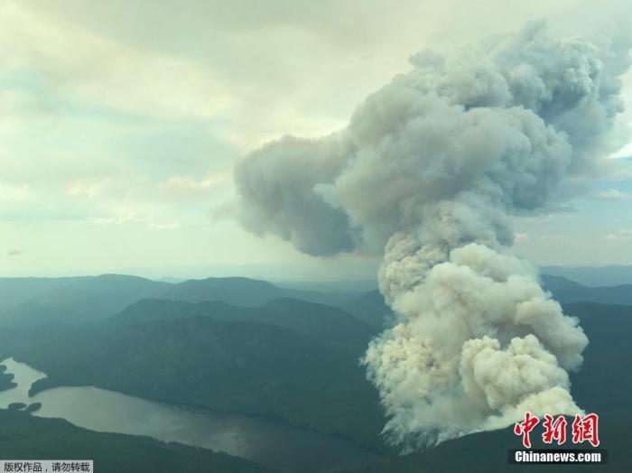 一周内逾700人突然死亡！高温致加拿大死亡人数激增