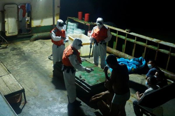 打“擦边球”抢“早市” 上海海警查获非法捕捞梭子蟹约28吨