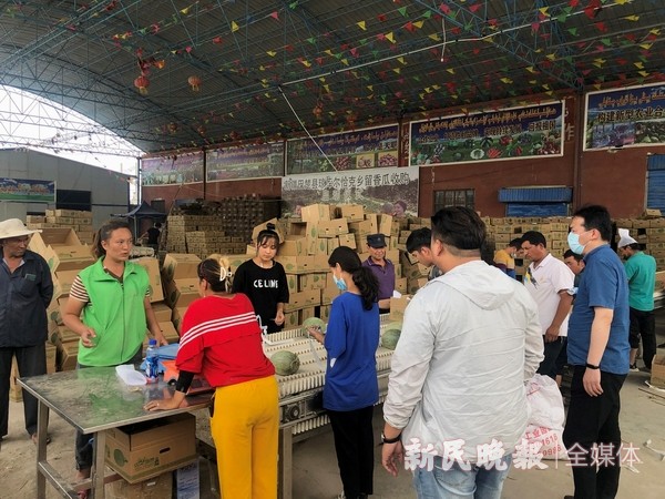 上海消费帮扶联盟到喀什调研两地农副产品流通工作