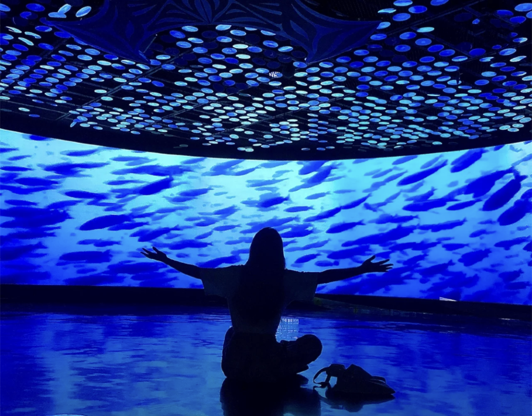 绝绝子！上海这个免费“海洋馆”要火！探索神秘海底世界，拍梦幻海洋大片！