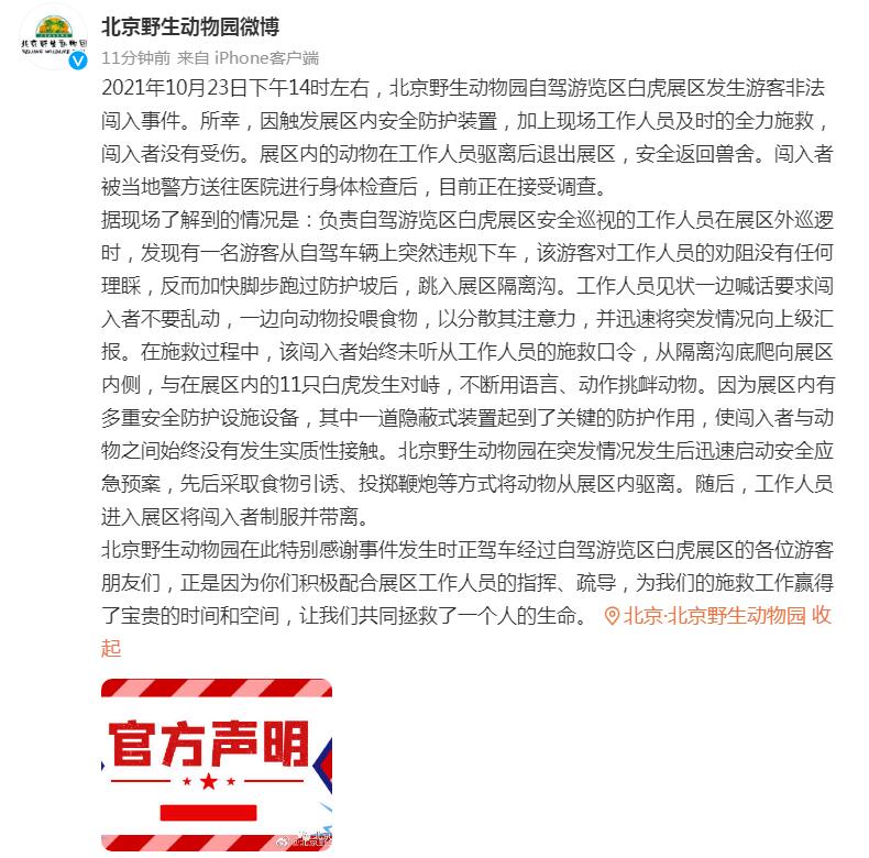 北京野生动物园通报“白虎展区游客非法闯入”事件
