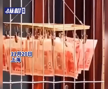公然“洗钱”？上海一女子晒出邻居家阳台视频！网友评论笑翻了！