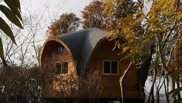 视频 | 申城厕所“脑洞”大开：你没看错！这也是森林树屋