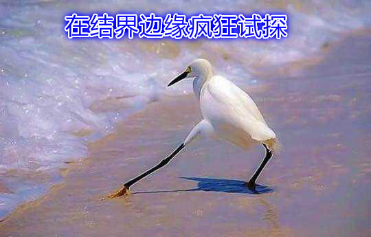 环球频道_新民网_为民分忧 与民同乐