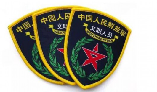 經中央軍委批准,今年為解放軍和武警部隊文職人員統一配發制式服裝,8