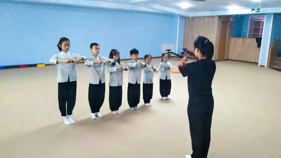 全国太极拳冠军刘彦英：传统武术在日渐凋零