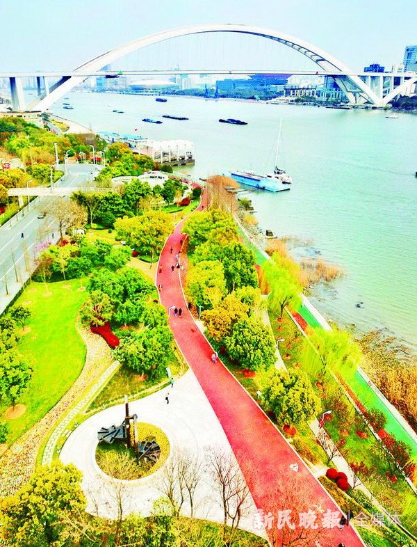 图为黄浦区滨江打浦路至鲁班路段绿道 本报记者 周馨 摄图为宝山区