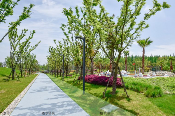 临港新地标→沪上首座特色海绵公园6月开放!_新民社会_新民网