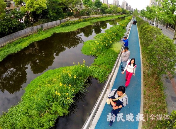 横港河水清岸绿景色美富水路慢行步道好休闲
