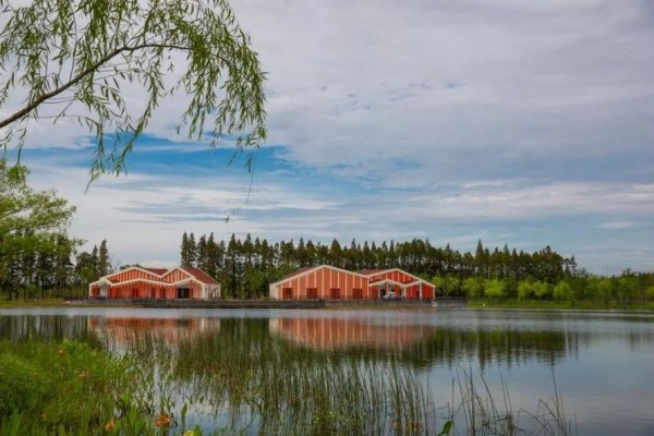 上海七大郊野公园怎么玩