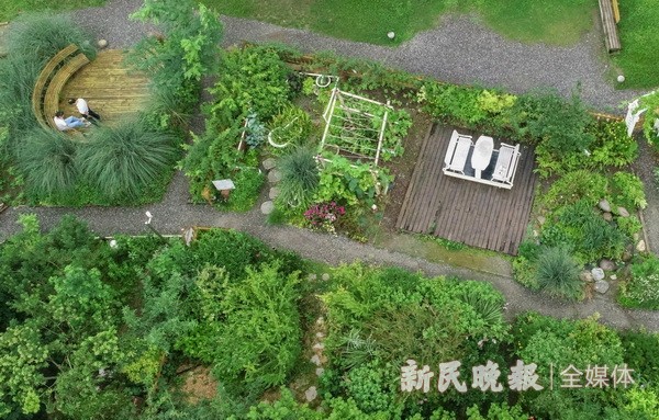 创智农园打造都市中的田园