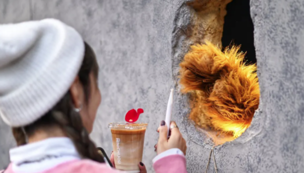 上海这家看不见店员的“熊爪”咖啡店火了！墙里有故事