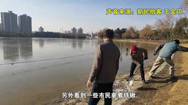 新民拍客 | 打“冰”漂？上海黄兴公园冻湖成冰