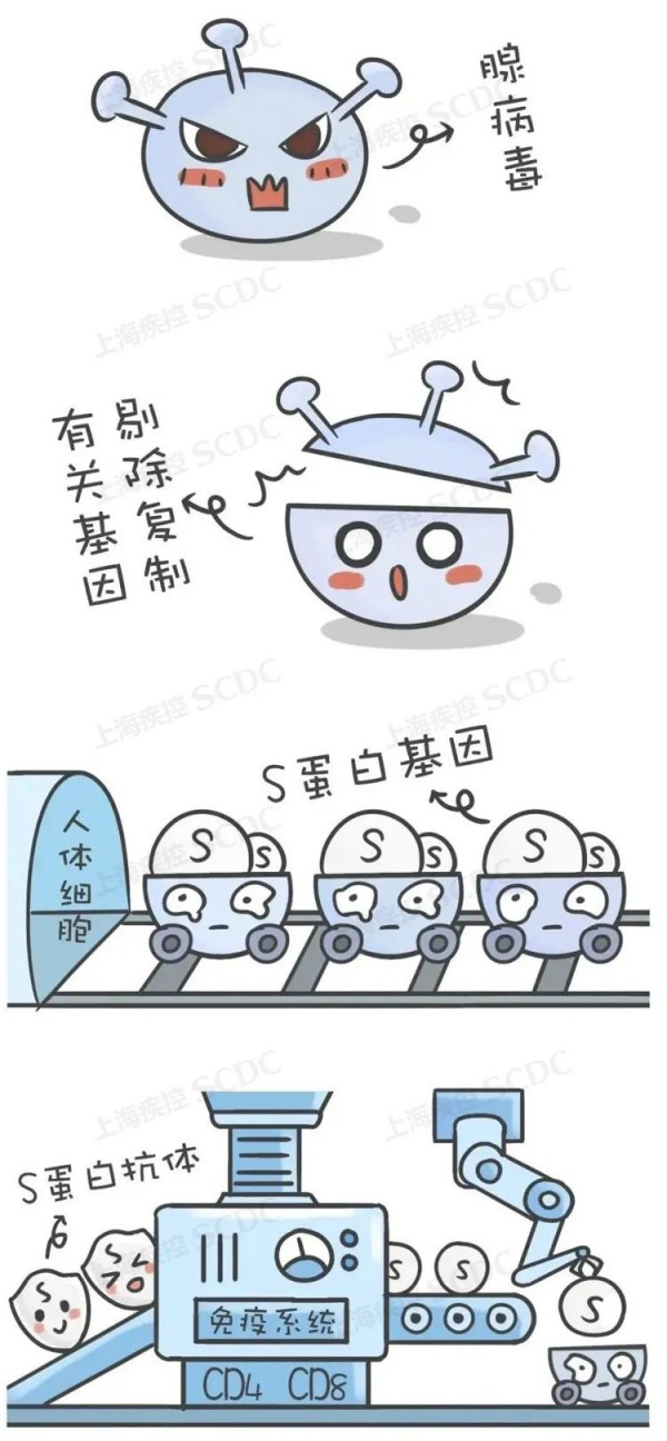 来看看只需要打一针的新冠疫苗 手机新民网