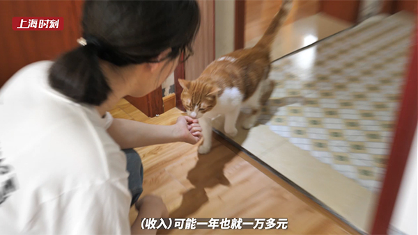 视频 | 撸猫还能赚钱？上海的上门“铲屎官”五一假期日均可接400单