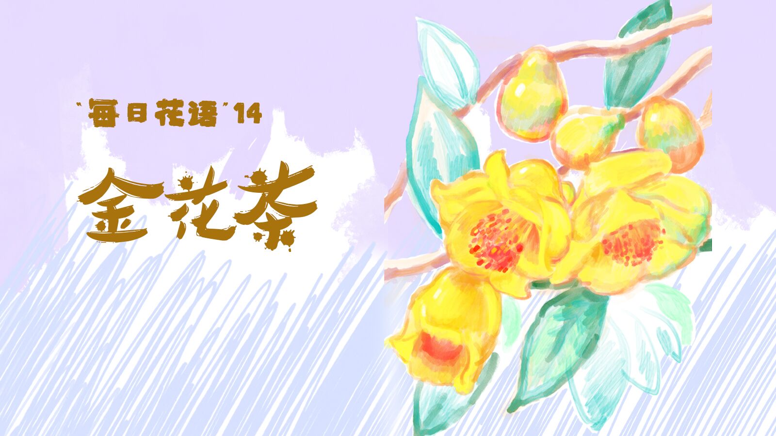 手绘花博会 | 每日花语（14）：金花茶