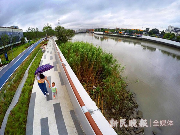 蕴藻浜滨水步道庙行段贯通开放