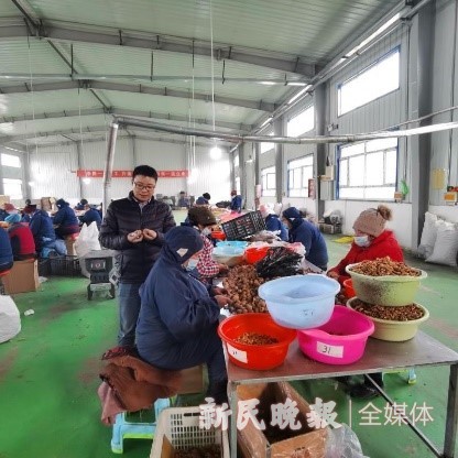 上海援疆泽普分指乡镇挂职干部积极推进产业振兴