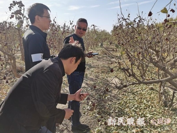 上海援疆叶城分指到企业调研农产品消费帮扶工作